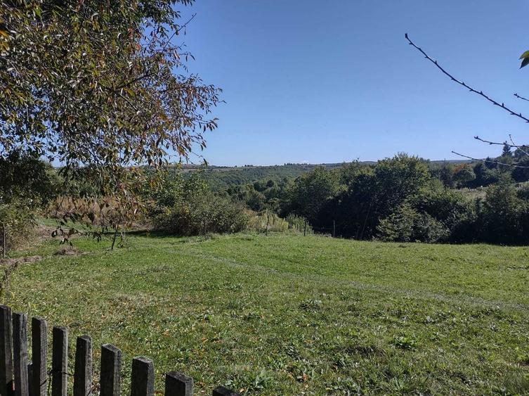 Casă cu 2 camere în Mărcești