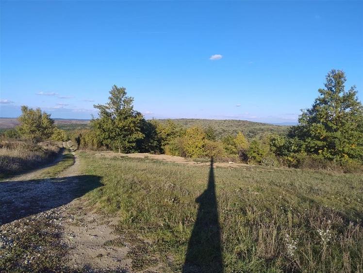 Teren Construcții intravilan de 534 mp, în Săldăbagiu de Munte