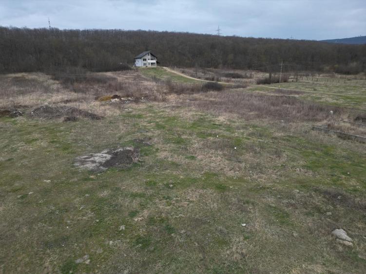 Teren Construcții intravilan de 3500 mp, în Mogoșești