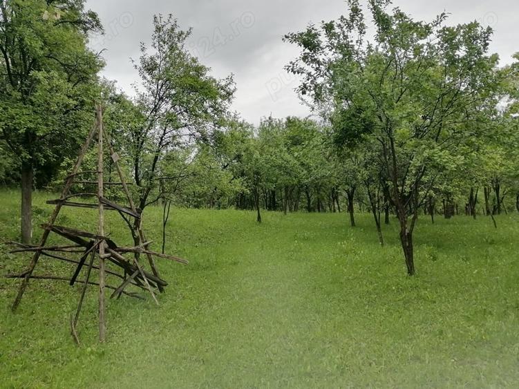 Teren de 4650 mp, în Lunca Mare