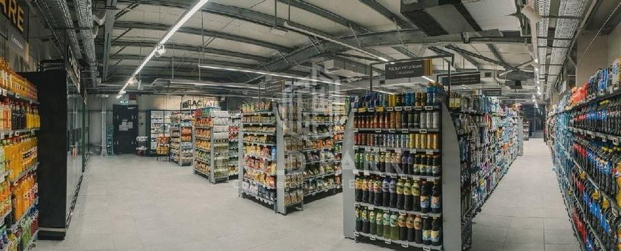 Spațiu comercial, de 461 mp, în Dacia