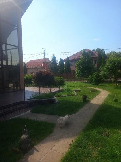 Casă cu 4 camere cu Teren 700 Mp în Exterior Vest