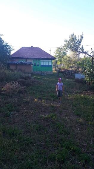 Casă cu 2 camere în Central