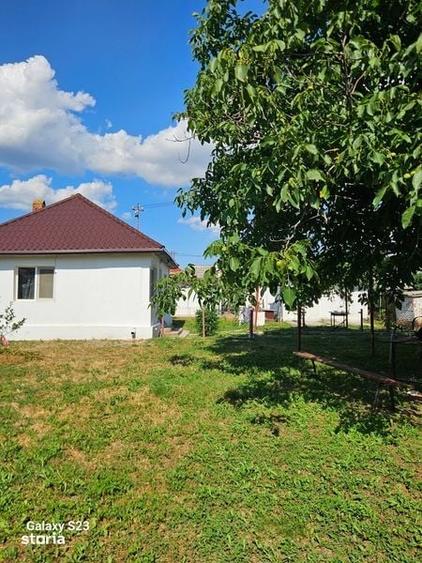 Casa de vanzare Barasti Olt - 8