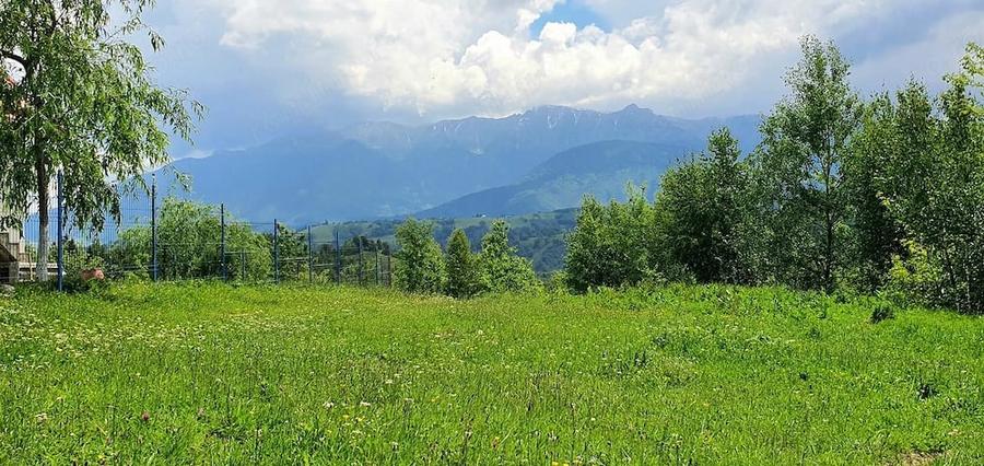 Teren de 2500 mp, în Peștera