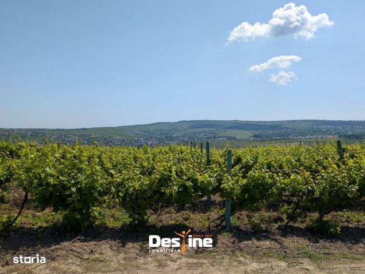 Teren de 974 mp, în Bucium