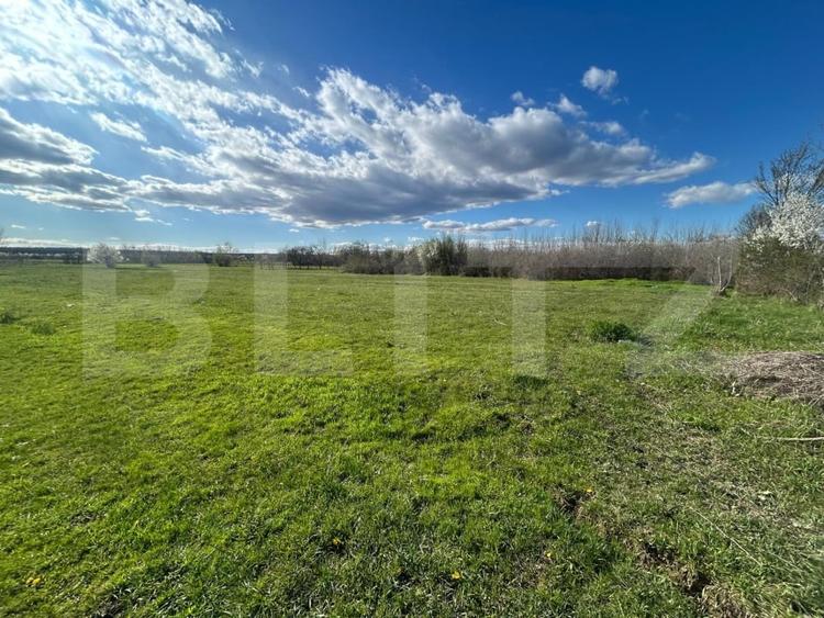 Teren Construcții intravilan de 2000 mp, în Râncăciov
