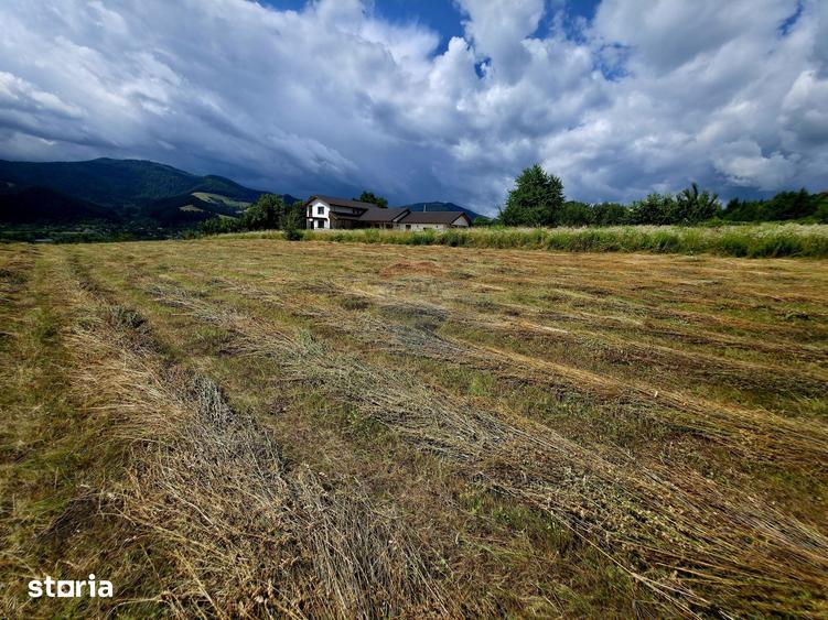 Teren de 600 mp, în Alexandru cel Bun