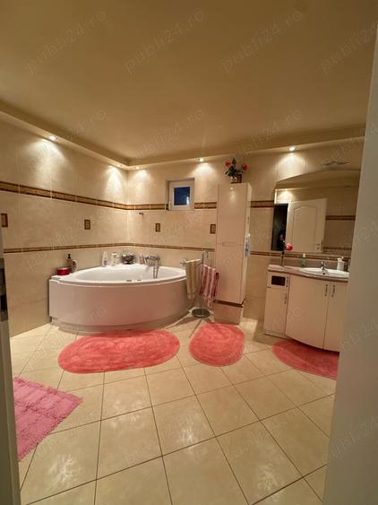 Casa timisoara - 3