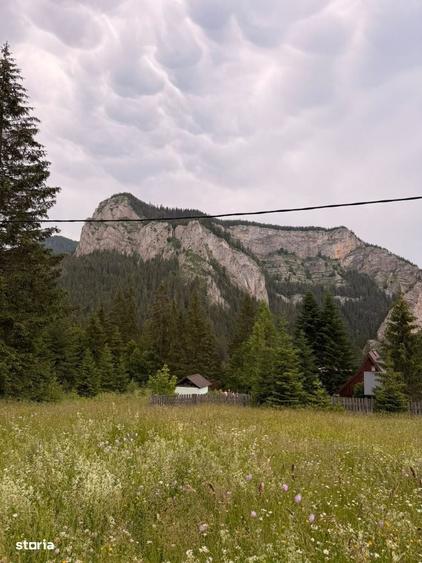 Teren intravilan de vanzare in Lacu Rosu panorama spectaculoasa - 7