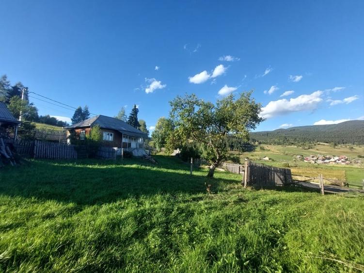Casă individuală cu 2 camere cu Teren 3585 Mp în Răchitiș