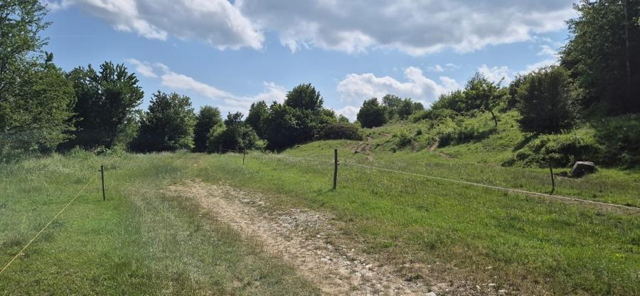 Teren agricol extravilan de 7800 mp, în Tohanu Nou
