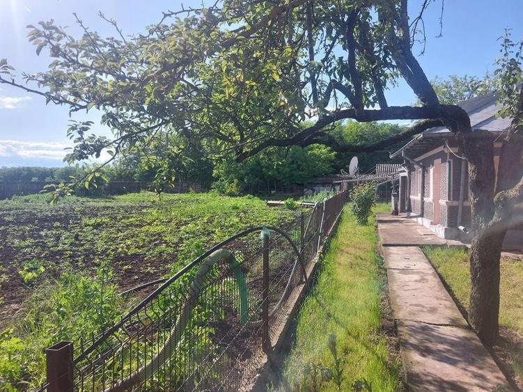 Casă cu 4 camere în Movila