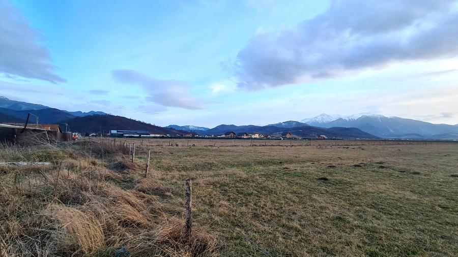 Teren Construcții intravilan de 1049 mp, în Pănicel