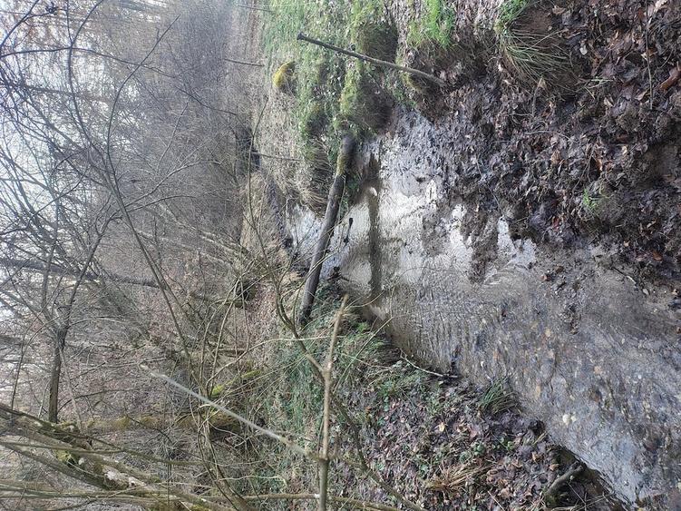 Casă cu Teren 20000 Mp în Vârfurile