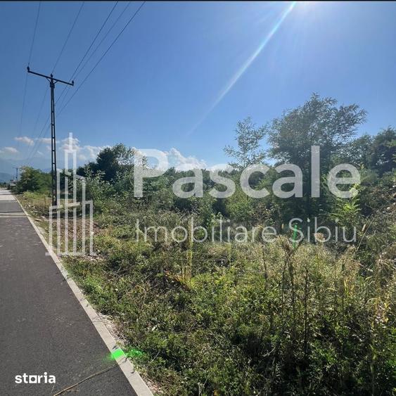 Teren intravilan de vanzare - Valea Avrigului - jud. Sibiu - 2