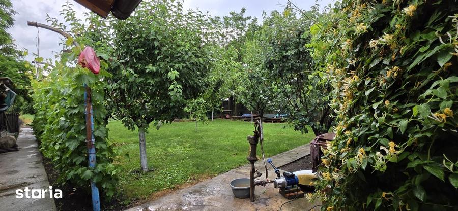 Casă cu 4 camere cu Teren 1164 Mp în Colceag