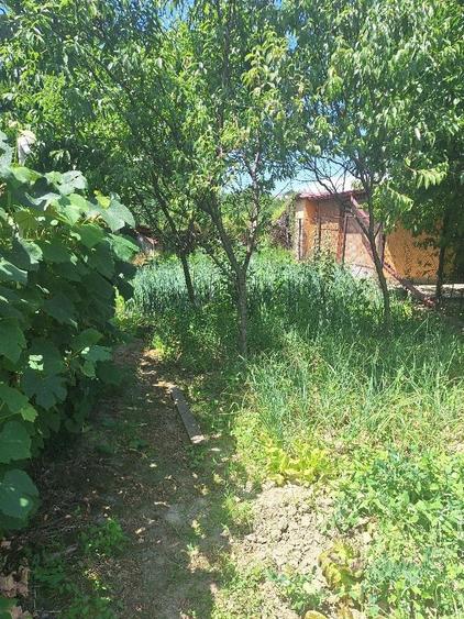 Casă cu 2 camere în Curtea de Argeș