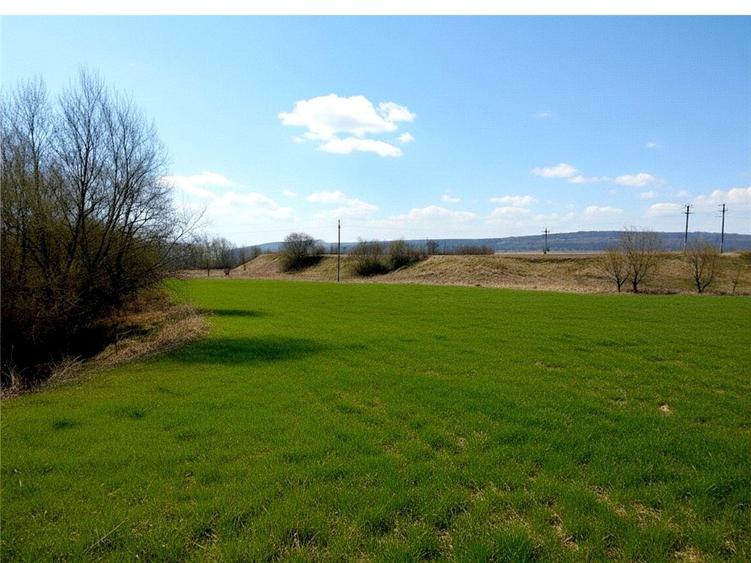 Teren Construcții extravilan de 12400 mp, în Pătrăuți