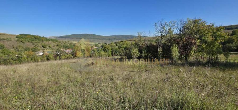 Teren Construcții intravilan de 11000 mp, în Suceagu