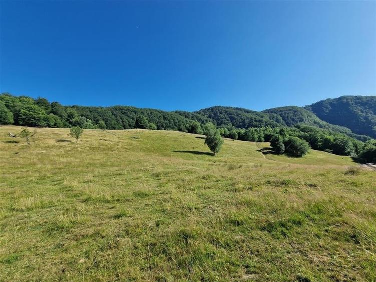 Teren Construcții intravilan de 31258 mp, în Remeți