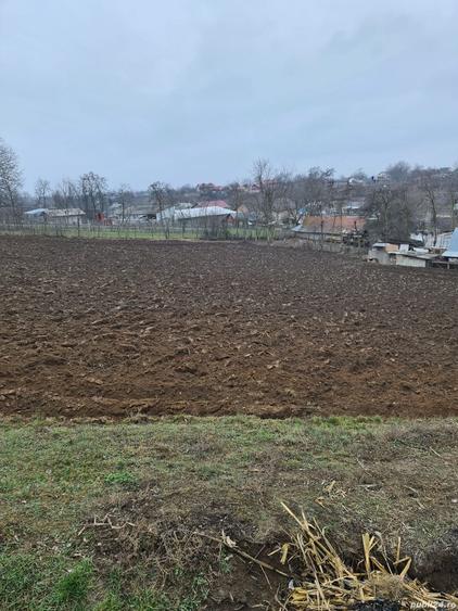 Teren de 2650 mp, în Trifești