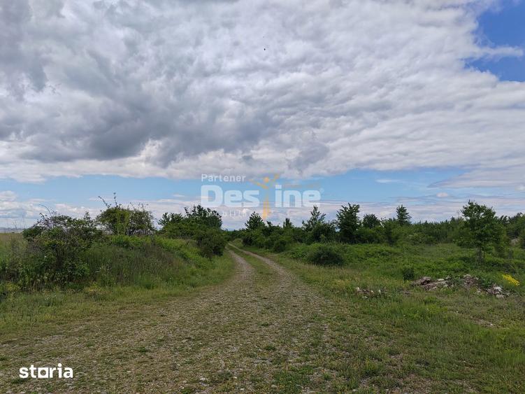 Teren de 114000 mp, în Ariceștii Rahtivani