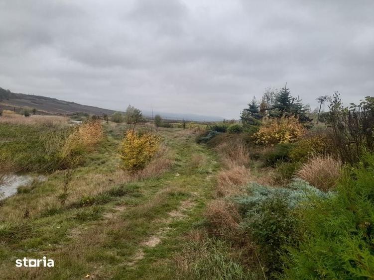 Teren de 120000 mp, în Mironeasa