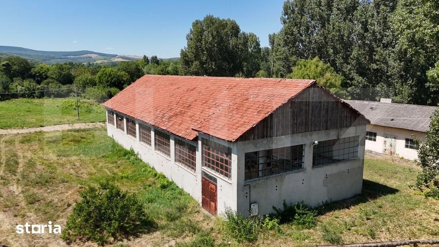 Teren de 32000 mp, în Stoicănești