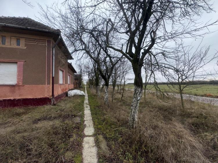 Teren Construcții intravilan de 1439 mp, în Șomoșcheș