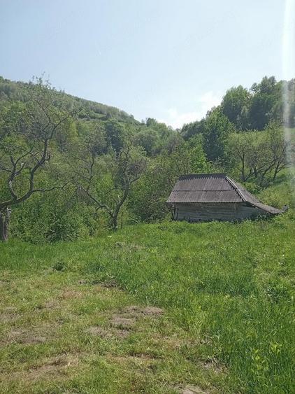 Casă cu 2 camere cu Teren 500 Mp în Tranișu
