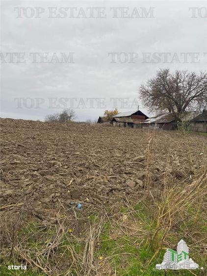Teren 12223 mp in Prahova - 3