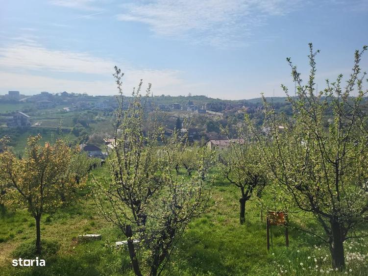 Spațiu comercial, în Spitalul Județean