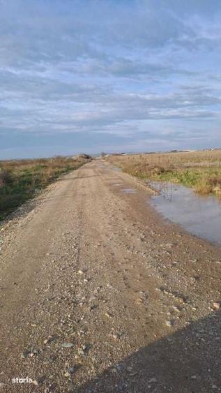 Teren de 20000 mp, în Nojorid