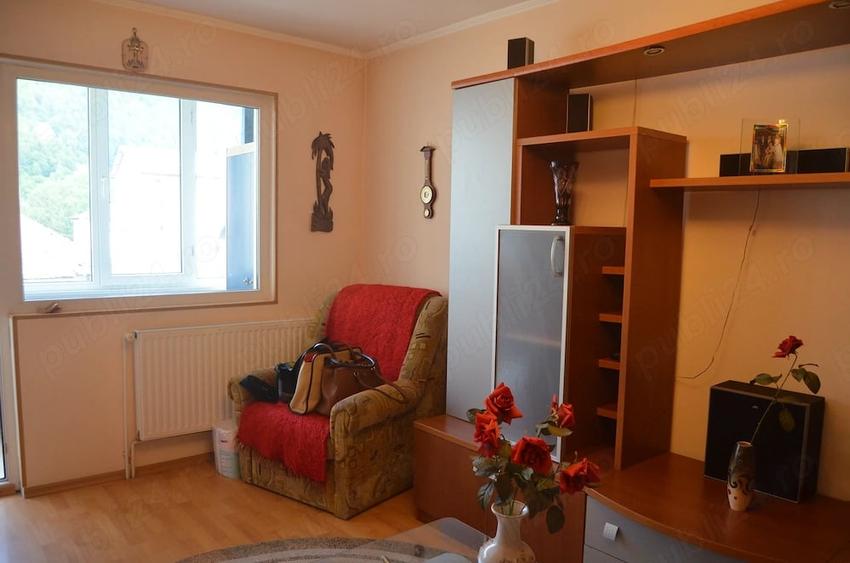 Sinaia-Vanzare apartament cu trei camere- mobilat si utilat - 3