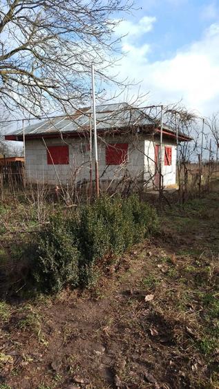 Casă cu 2 camere cu Teren 1300 Mp în Horia