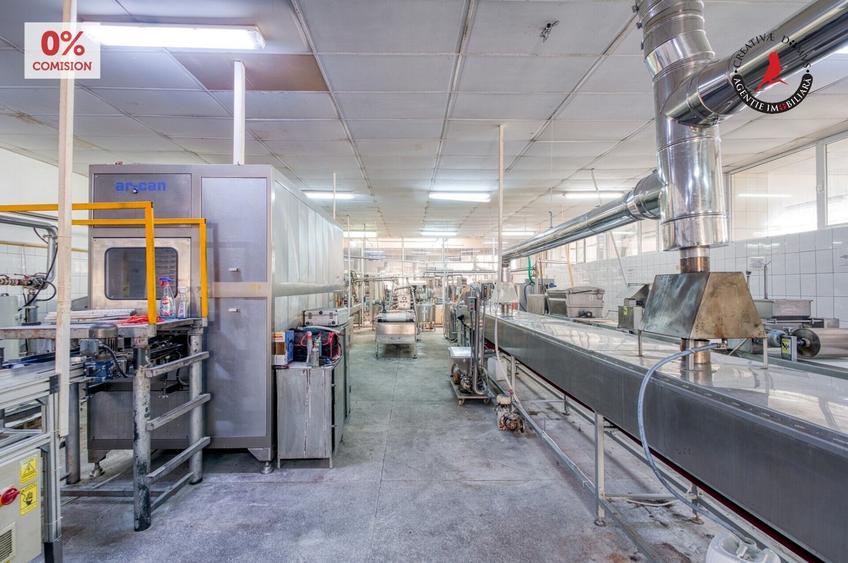 Spațiu industrial, în Frătești
