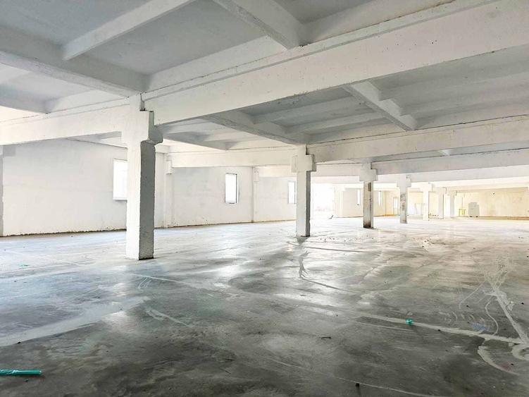 Spațiu industrial, de 250 mp, în Aluniș