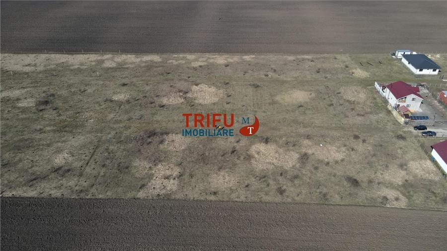 Teren Construcții intravilan de 600 mp, în Sebeș