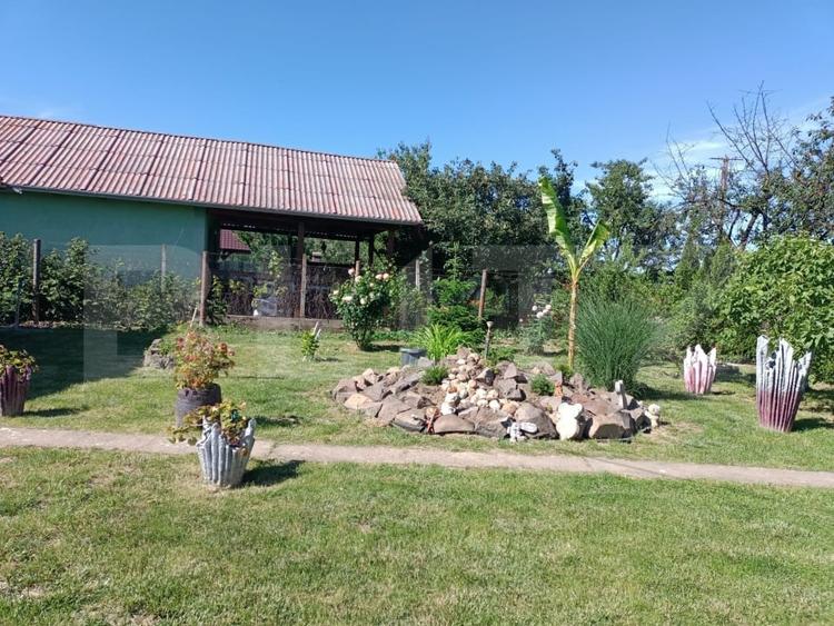 Teren agricol extravilan de 1000 mp, în Careiului