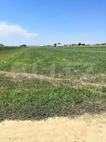 Teren intravilan, 9782 mp, zona Corocaiesti, Suceava - 6