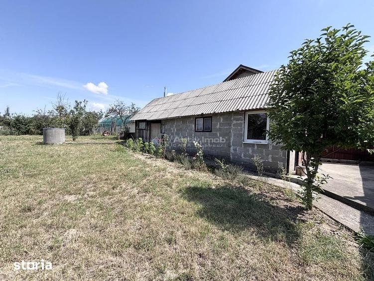 Casa in Miarlau - teren 747 mp - 13