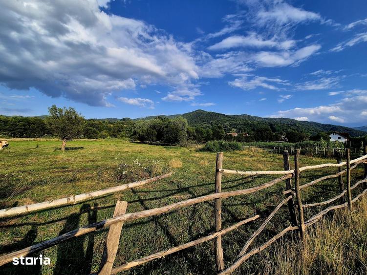 Teren recreational zona Sinca Noua, 3021 mp - 1