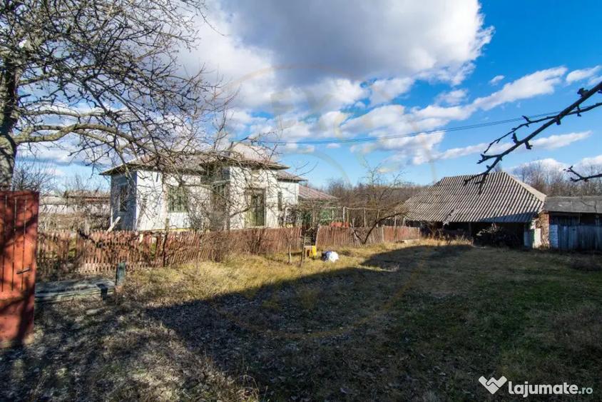 Casă cu 3 camere cu Teren 4145 Mp în Vedea