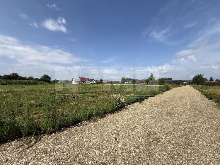 Teren Construcții intravilan de 23000 mp, în Horodnic de Jos