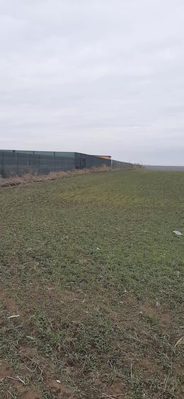Teren in Lazu de 400 mp. - 2
