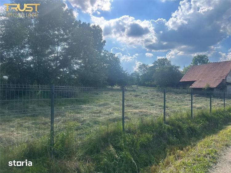 Casă cu 4 camere cu Teren 3135 Mp în Dângău Mare
