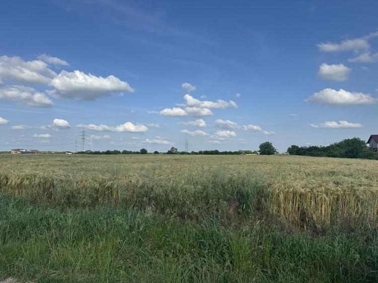 Teren de 9300 mp, în Pruni