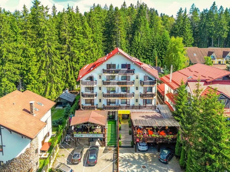 Hotel/Pensiune, de 600 mp, în Vlădeț - Trei Brazi