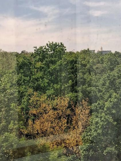 Proprietar Apartament de inchiriat, 2 camere, Pridvorului Tineretului Vacaresti - 8
